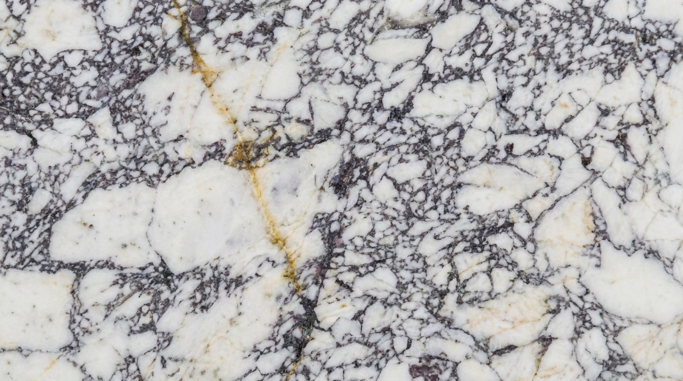 calacatta viola texture calacatta viola texture