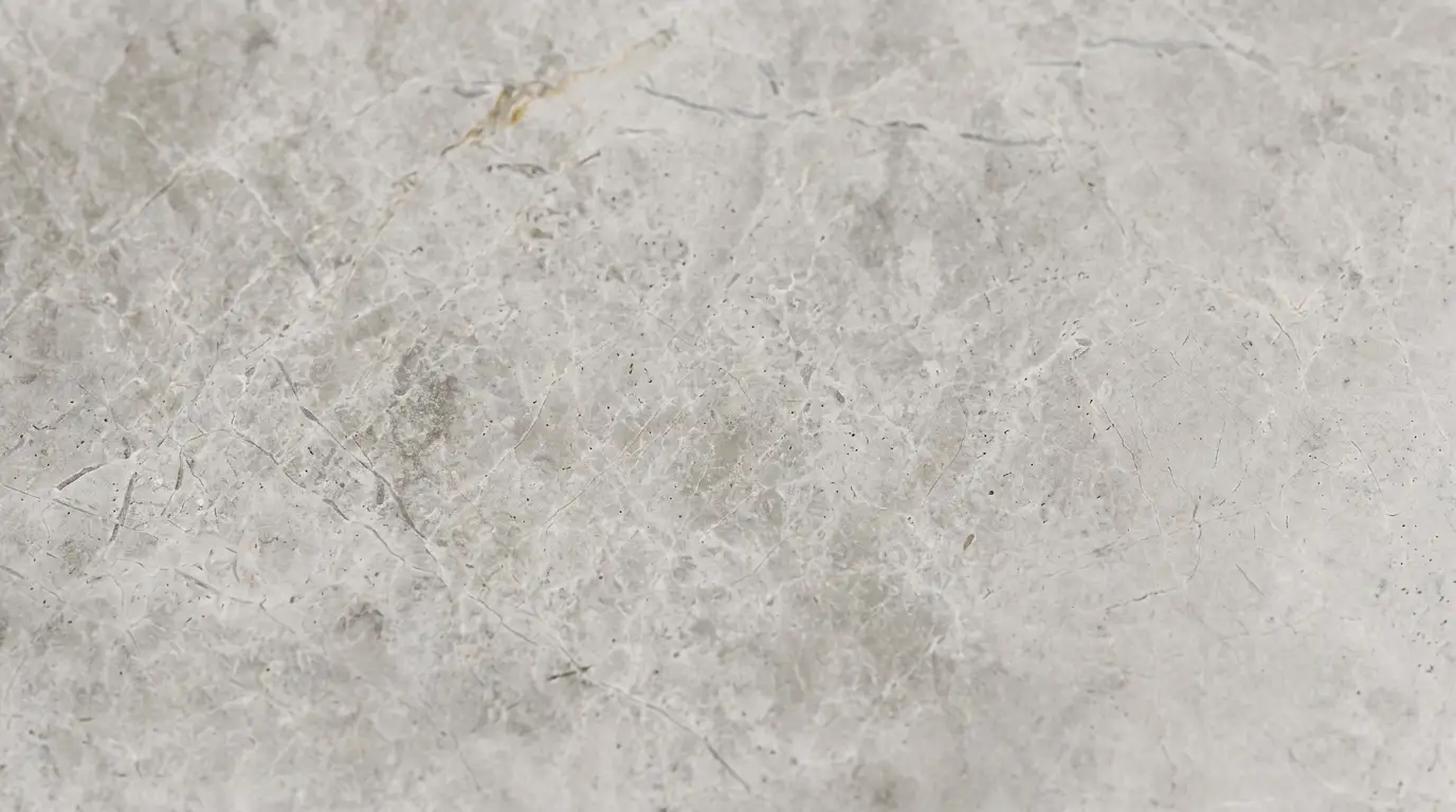 silken ash main silken ash main